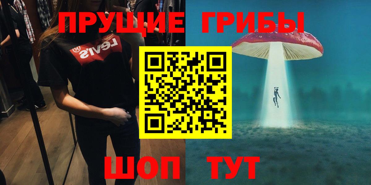 Псилоцибиновые грибы Psilocybe  Вход с VPN  Псилоцибиновые грибы GOLDEN TEACHER  Клин 
